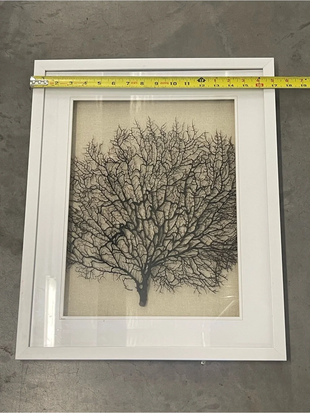 ✨ Faux Black Sea Fan Coral Framed Wall Art Set of 2 Coastal Boho Decor ✨